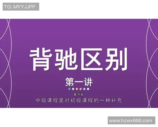 独家解读：杭州乒乓球队耐力对比及其影响因素分析