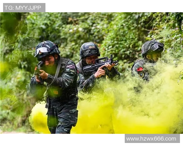 重庆排球队的战术解析与阵地战策略深度剖析